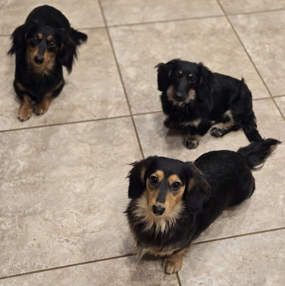 PLZ BUY OUR STUFFS - Picture 2 of 3